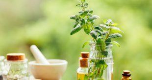 Cách sử dụng tinh dầu bạc hà làm đẹp bây giờ bạn mới biết! 2