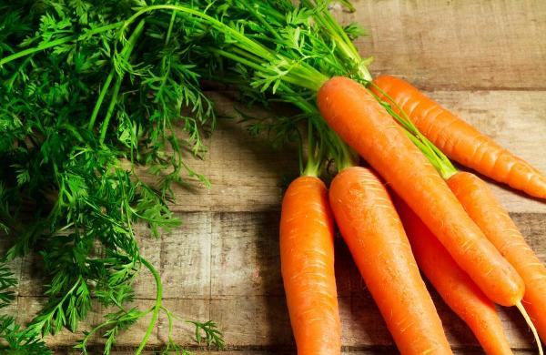 Cà rốt chứa hàm lượng cao các chất dinh dưỡng