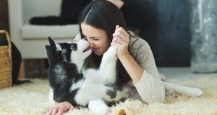 Những thông tin hữu ích về thuốc trị ve chó 21