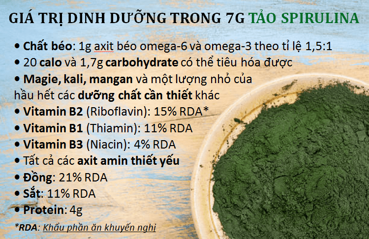 giá trị dinh dưỡng của tảo spirulina
