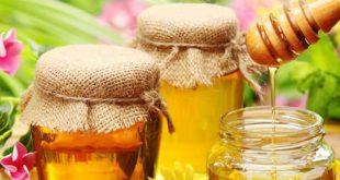 Bí quyết trị hôi miệng bằng mật ong hiệu quả tối đa 37