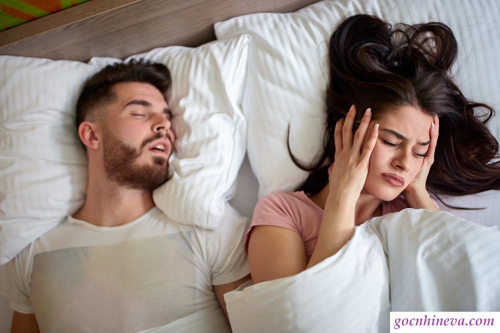 Giải đáp những thắc mắc liên quan về Night Comfort – sản phẩm chữa ngáy ngủ - Góc Nhìn Đông Y 2