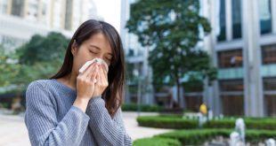 9 liệu pháp tự nhiên giúp bạn trị chứng dị ứng 13