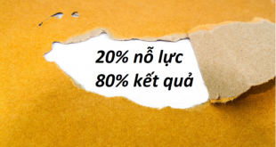 Nguyên lý Pareto: Làm sao nỗ lực 20% mà đạt 80% kết quả? 26