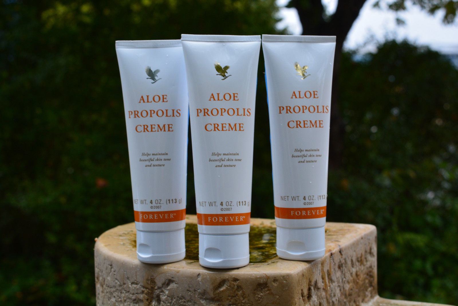 Aloe Propolis Crème là gì? Aloe Propolis Crème có tốt không? - Góc Nhìn Đông Y 2
