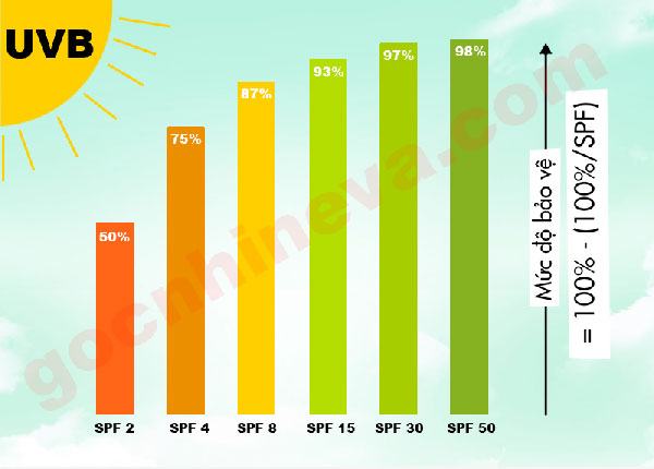 Dựa vào chỉ số chống nắng SPF (Sun Protect Factor) ghi trên nhãn bao bì.
