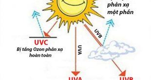 Kem chống nắng và những điều cần biết cho làn da hoàn hảo - Góc Nhìn Đông Y 25
