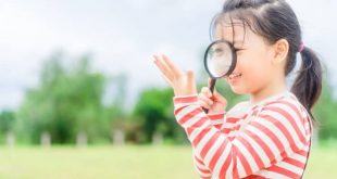 Phát ban sau sốt ở trẻ nhỏ: Khi nào bố mẹ nên lo lắng? 8