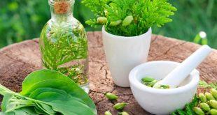 Thuốc nam trị thiếu máu cơ tim: Từ cây thuốc đến bài thuốc hiệu quả 2