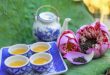 Top 5 Thương hiệu trà sen tốt cho sức khỏe được yêu thích nhất
