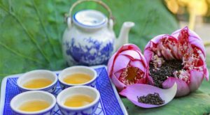Top 5 Thương hiệu trà sen tốt cho sức khỏe được yêu thích nhất