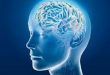 Top 6 Thói quen ảnh hưởng xấu đến sức khỏe bộ não