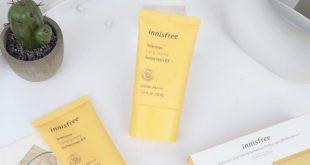 Tìm Hiểu Về Kem Chống Nắng Innisfree Intensive Long Lasting Sunscreen 1