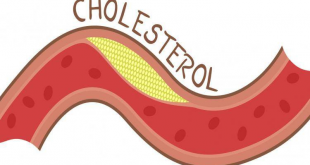 Tác dụng đông trùng hạ thảo với cholesterol 30